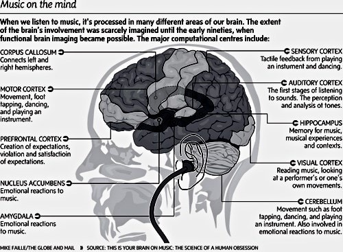 Piano and Brain Development